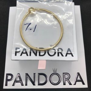 Pandora bracelet gift